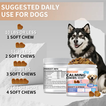 Dog Calming Chews & Composure Soft Treats – Natural Anxiety & Stress Relief Supplement, Soothing Calming Bites for All Dog Breeds