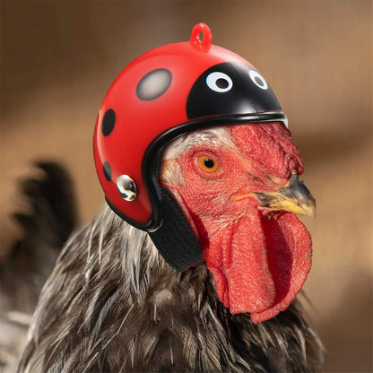 8-Pack Fun Waterproof Chicken Hats – Adjustable Miniature Pet Protection & Costume Gear