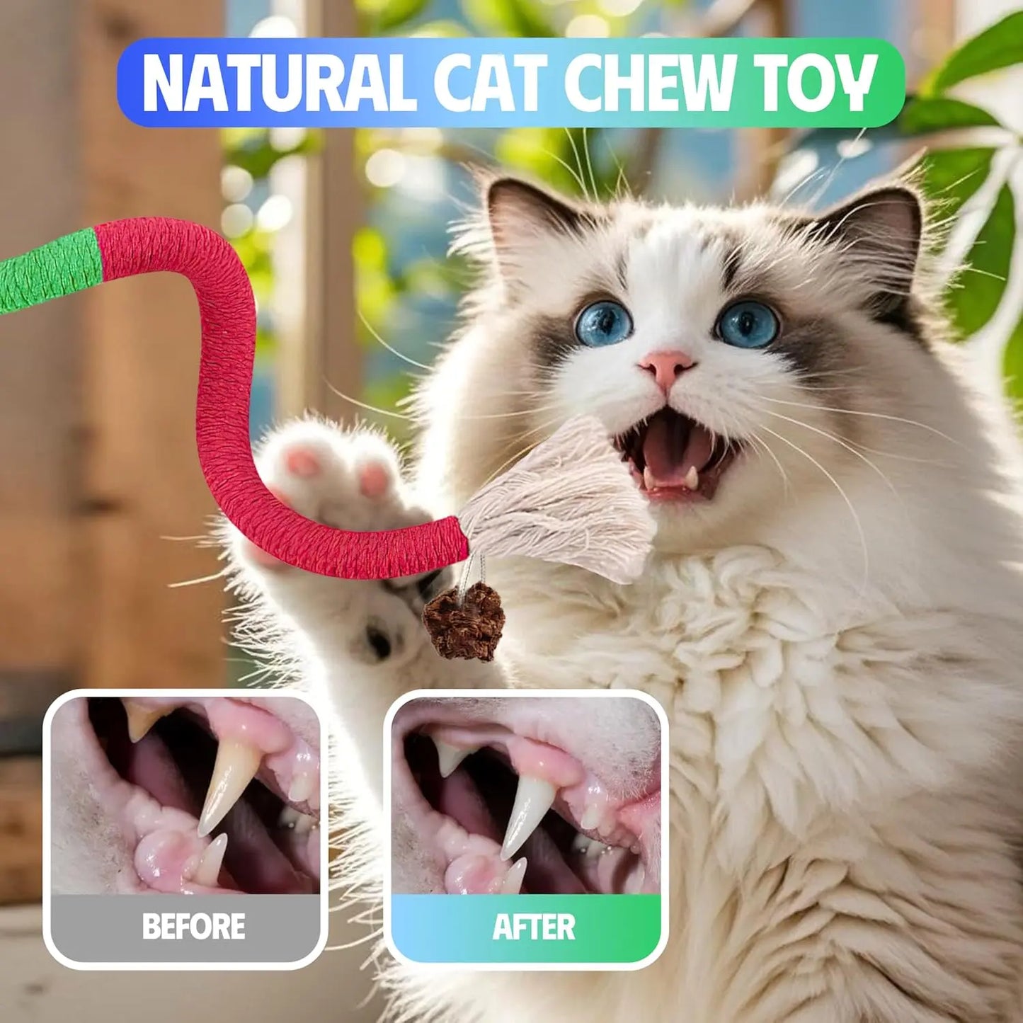 Cat Chew Ropes (9-Piece Set) – Interactive Dental Cleaning Toys with Refillable Natural Catnip