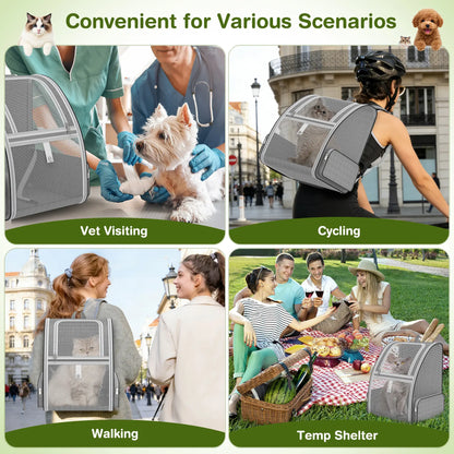 Breathable Mesh Pet Backpack – Foldable Travel Carrier with Built-In Safety Buckles & Dual Storage Pockets