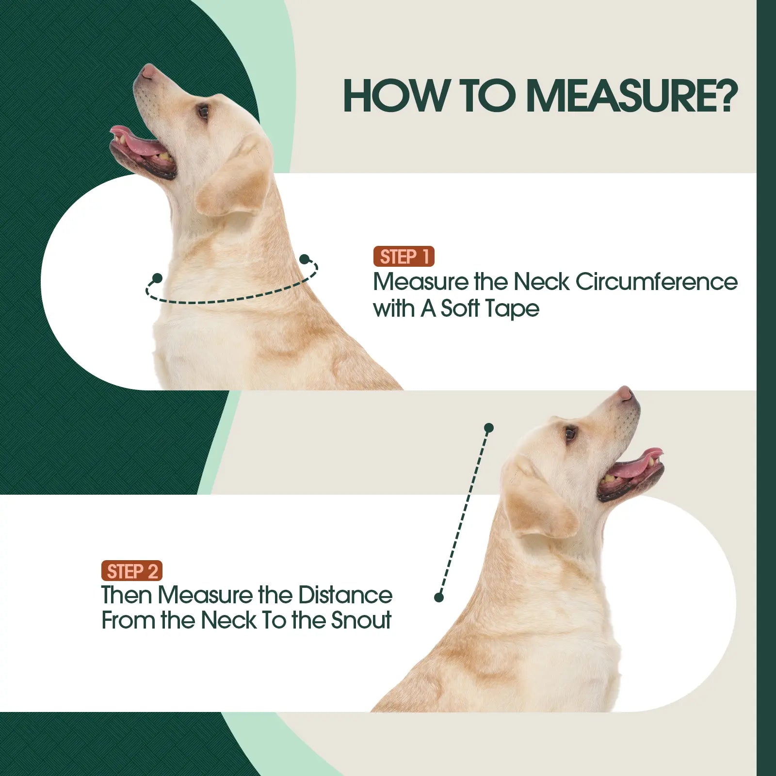 Adjustable Soft E-Collar for Dogs – Breathable & Humane Post-Surgery Recovery Cone to Prevent Licking