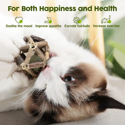 Natural Silvervine Stick Cage Balls (3-Pack) – Interactive Cat Chew Toys with Built-In Bell for Teeth Cleaning