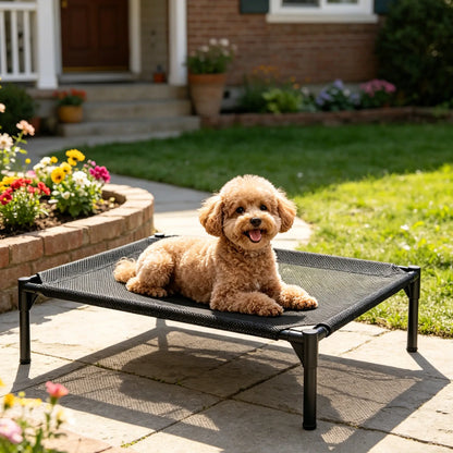 Valuxe Premium Elevated Cooling Pet Bed