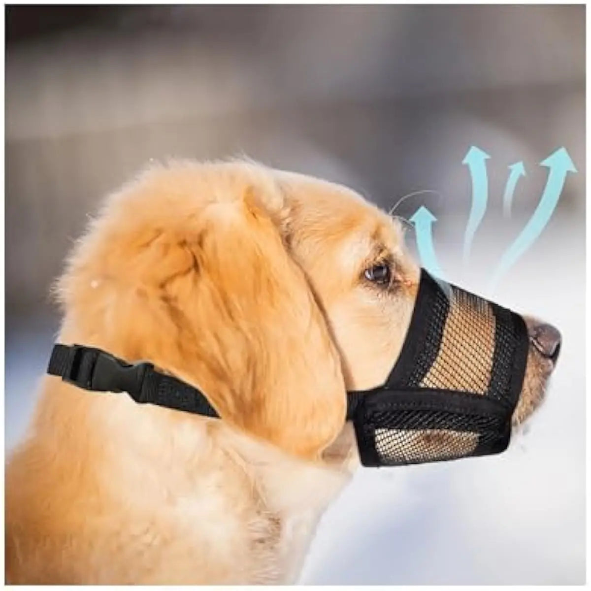 Adjustable Air Mesh Dog Muzzle – Breathable Anti-Biting, Barking & Scavenging Protection for All Sizes