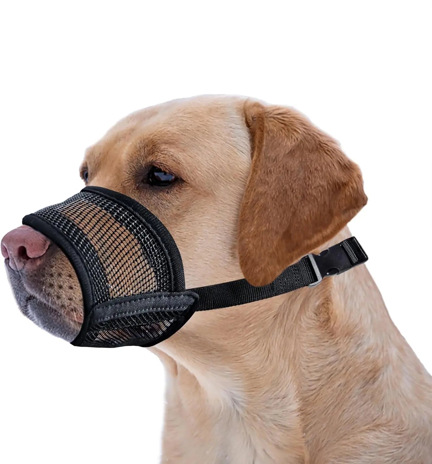Adjustable Air Mesh Dog Muzzle – Breathable Anti-Biting, Barking & Scavenging Protection for All Sizes