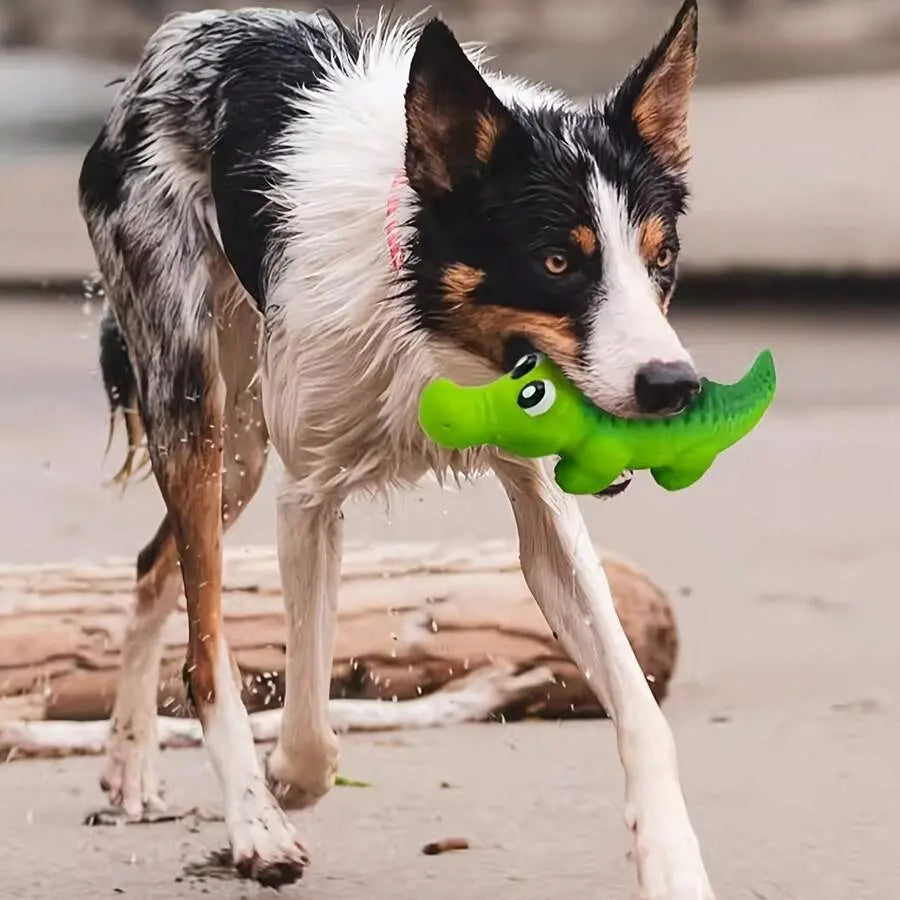 Durable Interactive Latex Chew Toy – Loud Squeaky Toy for All Dog Breeds & Strong Chewers
