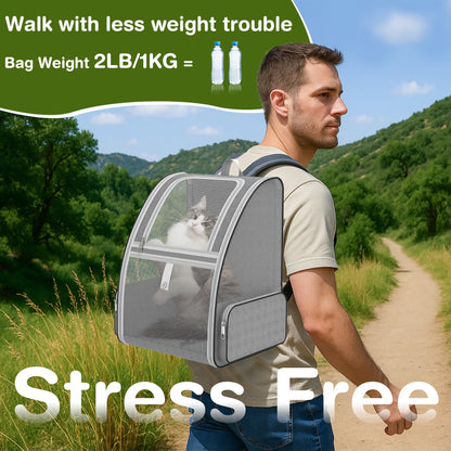 Breathable Mesh Pet Backpack – Foldable Travel Carrier with Built-In Safety Buckles & Dual Storage Pockets
